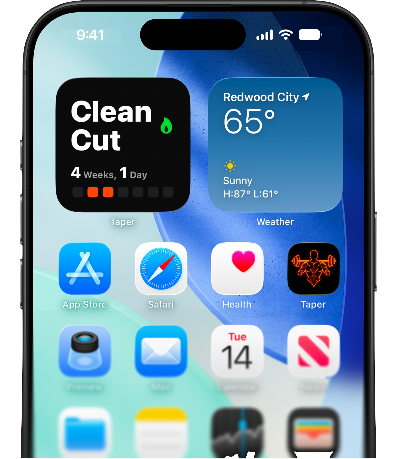 Home Screen widgets showing streak and measurement trends